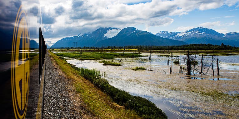 Seven tips for shooting nature photos with your smartphone camera Seven tips for shooting nature photos with your smartphone camera
