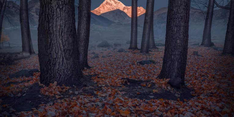 Dreamy vistas dominate the 2021 International Landscape Photographer of the Year awards Dreamy vistas dominate the 2021 International Landscape Photographer of the Year awards