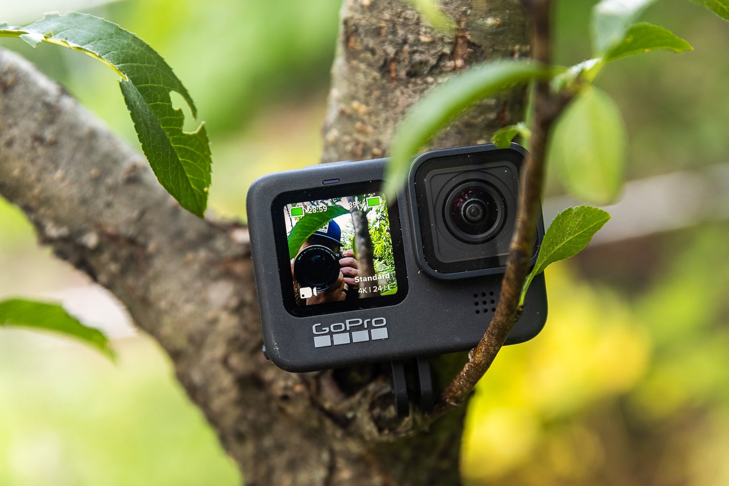 GoPro Hero 9 Black main in a tree