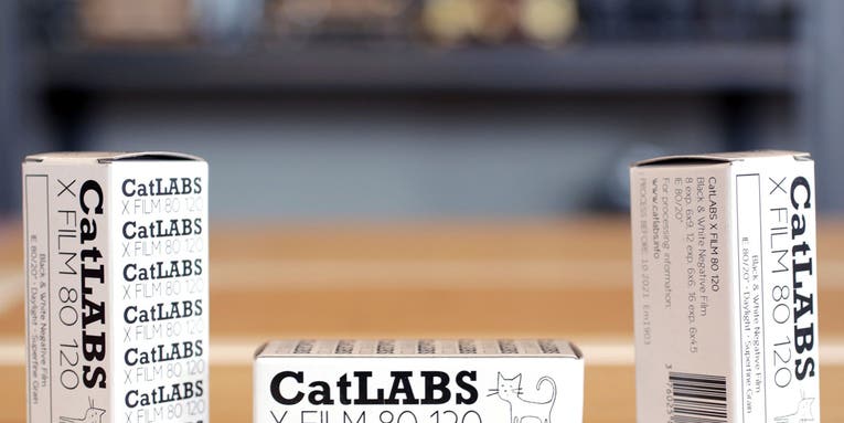 CatLABS FILM 80 is a new black and white medium format film CatLABS FILM 80 is a new black and white medium format film