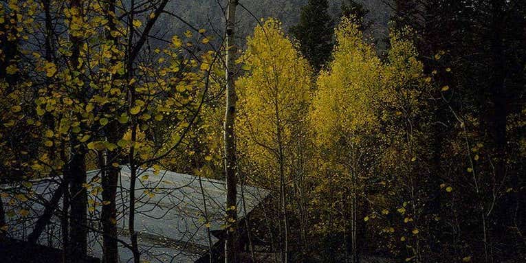 The complete guide to shooting expired film The complete guide to shooting expired film