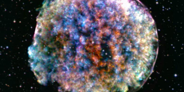 This fluffy ball contains the story of the universe This fluffy ball contains the story of the universe