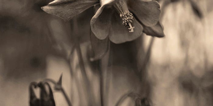 You Can Do It: Selective Focus You Can Do It: Selective Focus