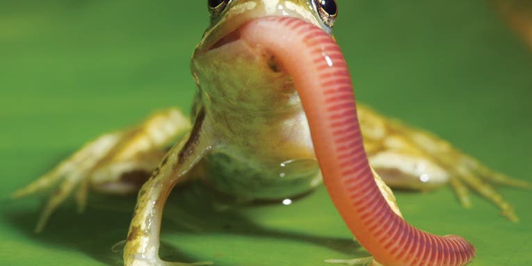 Tips From a Pro: An Intro the Tiny World of Macro Photography Tips From a Pro: An Intro the Tiny World of Macro Photography