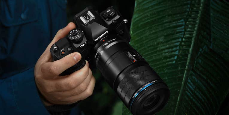 New gear: OM System M.Zuiko Digital ED 90mm F3.5 Macro IS PRO Lens New gear: OM System M.Zuiko Digital ED 90mm F3.5 Macro IS PRO Lens