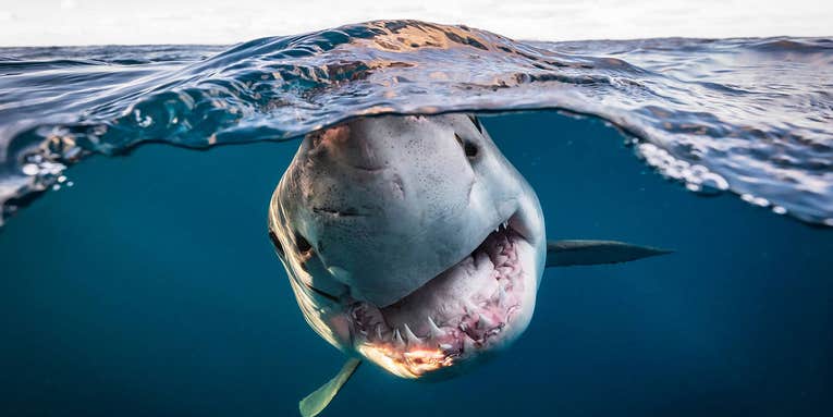 Adventures in the outback: Winners of the 2022 Australian Geographic photo awards