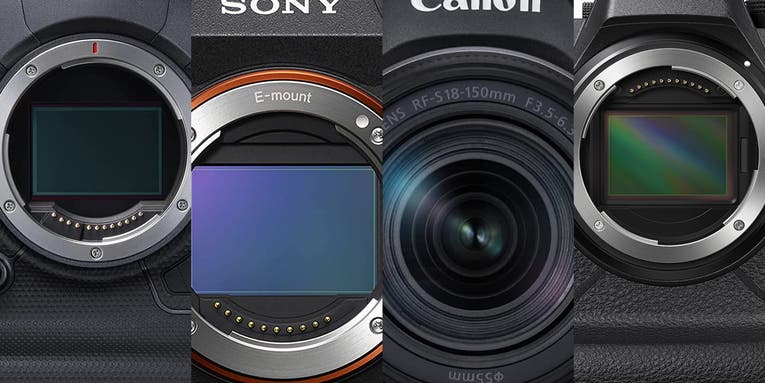 The best cameras for sports photography in 2023 The best cameras for sports photography in 2023