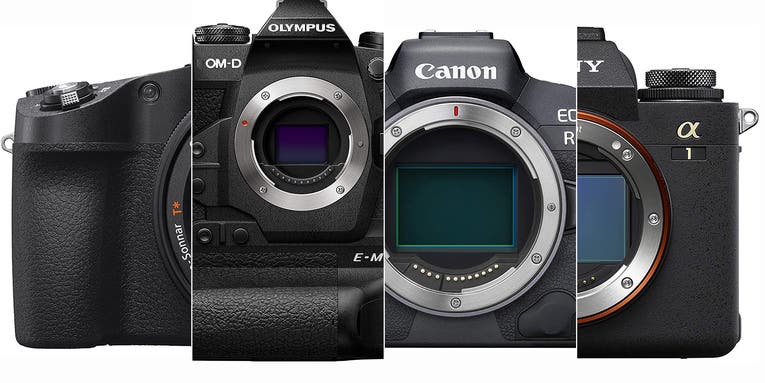 The best cameras for wildlife photography in 2023 The best cameras for wildlife photography in 2023