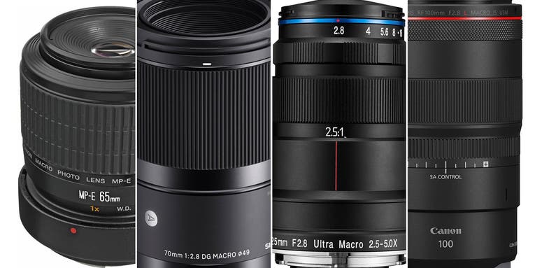 The best macro lenses for Canon in 2023 The best macro lenses for Canon in 2023