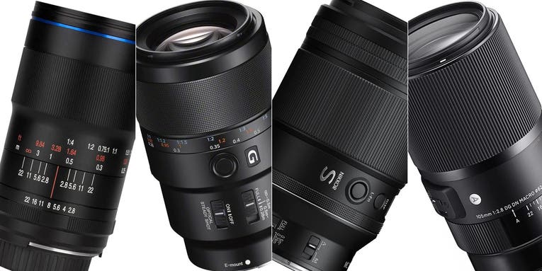 The best macro lenses for 2023 The best macro lenses for 2023