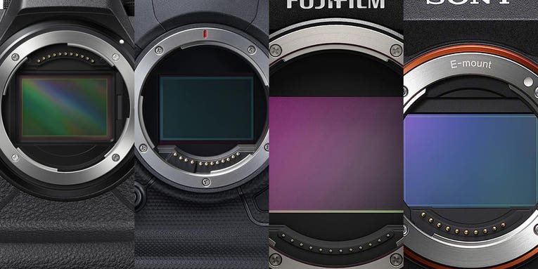 The best professional cameras of 2023 The best professional cameras of 2023