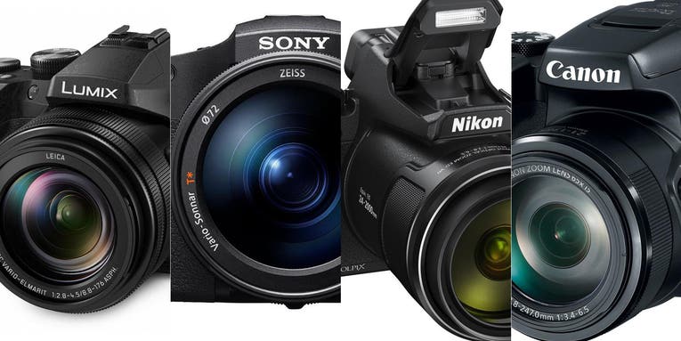 The best bridge cameras in 2023 The best bridge cameras in 2023