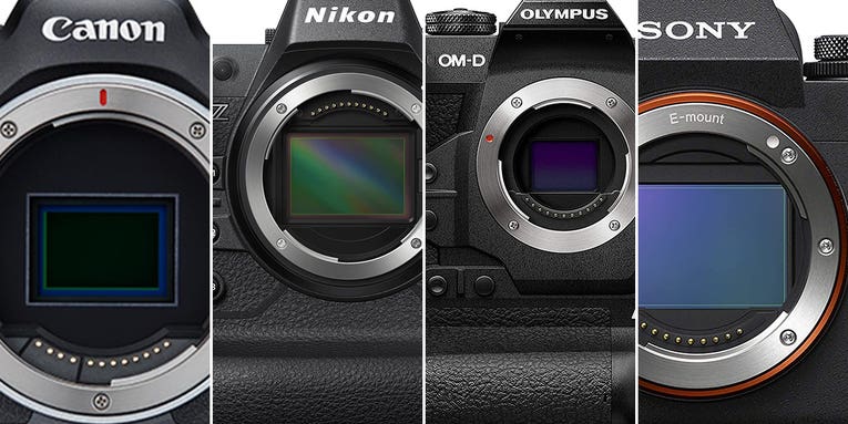 The best cameras for bird photography in 2023 The best cameras for bird photography in 2023