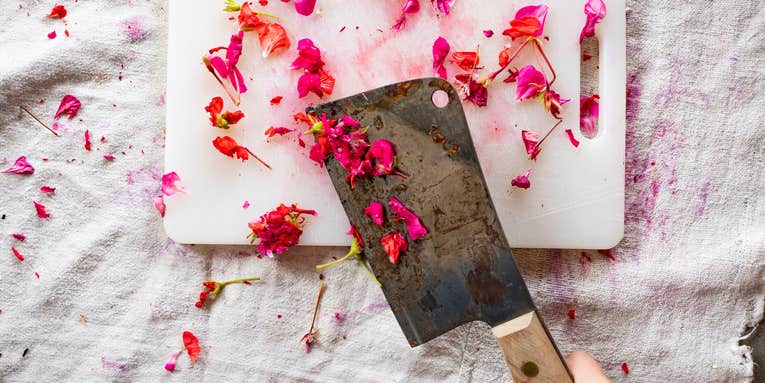Cig Harvey explores grief and death through the quiet beauty of floral life Cig Harvey explores grief and death through the quiet beauty of floral life