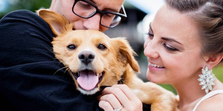 How-To: Include Pets In Wedding and Engagement Portraits How-To: Include Pets In Wedding and Engagement Portraits