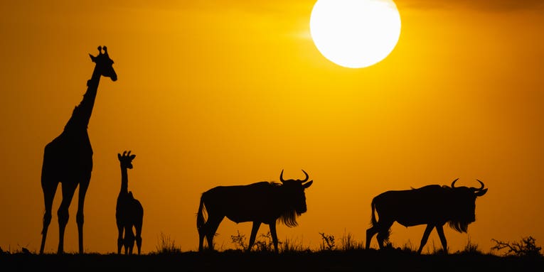 Wildlife photographer David duChemin on finding your voice Wildlife photographer David duChemin on finding your voice
