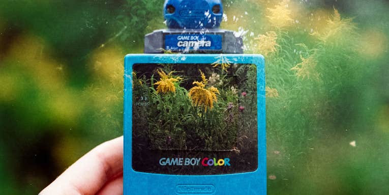How to create double exposures on film How to create double exposures on film