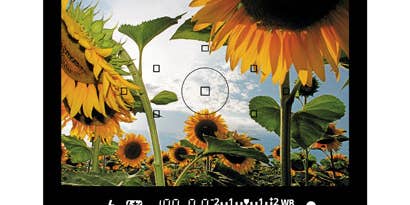 How to Read a Viewfinder How to Read a Viewfinder