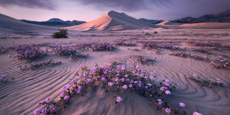 How landscape photographer Erin Babnik captures epic photos without leaving a trace How landscape photographer Erin Babnik captures epic photos without leaving a trace