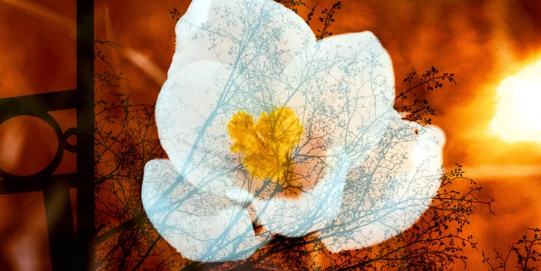 A TikTok photographer shot both sides of a roll of film, with otherworldly results A TikTok photographer shot both sides of a roll of film, with otherworldly results