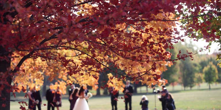 Unhappily-ever-after: Bankrupt wedding photographer leaves hundreds of couples hanging Unhappily-ever-after: Bankrupt wedding photographer leaves hundreds of couples hanging