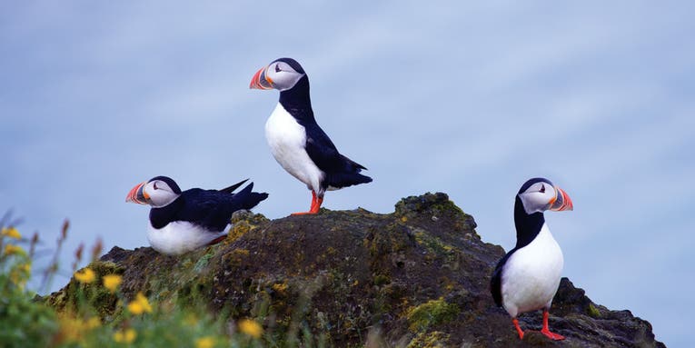 Shooting Iceland, A Photographer’s Paradise Shooting Iceland, A Photographer’s Paradise