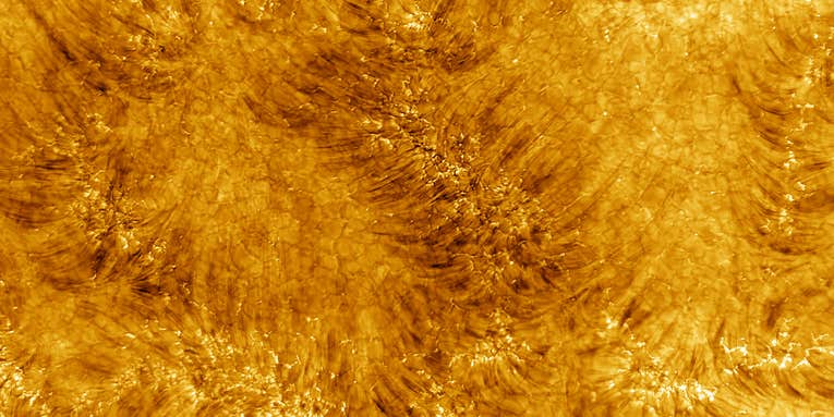 Turn up the heat with these fiery, stunningly-detailed images of our sun Turn up the heat with these fiery, stunningly-detailed images of our sun