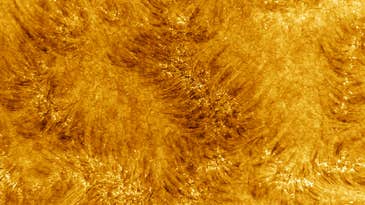 Turn up the heat with these fiery, stunningly-detailed images of our sun