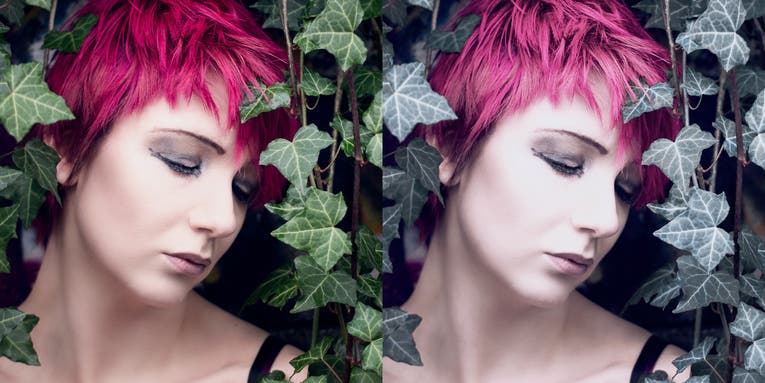 VSCO’s new pink and blue-hued ‘infrared’ filters VSCO’s new pink and blue-hued ‘infrared’ filters