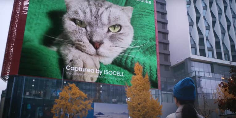 Me(w)ow! Samsung’s new 200-megapixel smartphone sensor shot this larger-than-life-cat print