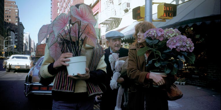 Joel Meyerowitz on making photographs in the street