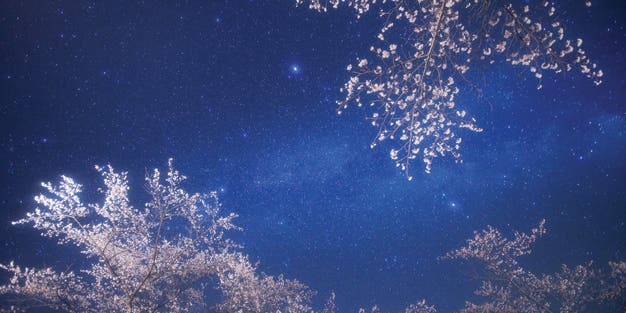 Photography Tips: Shooting Photos of the Stars Photography Tips: Shooting Photos of the Stars