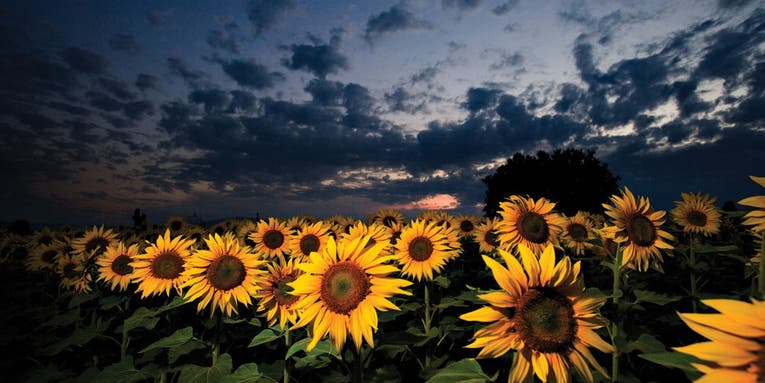 21 tips for better flash photography 21 tips for better flash photography