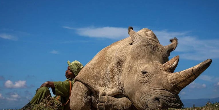 See the winners of Smithsonian Magazine’s 19th annual photo contest