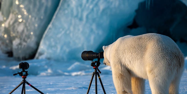 Our favorite finalists from the Comedy Wildlife Photography Awards Our favorite finalists from the Comedy Wildlife Photography Awards