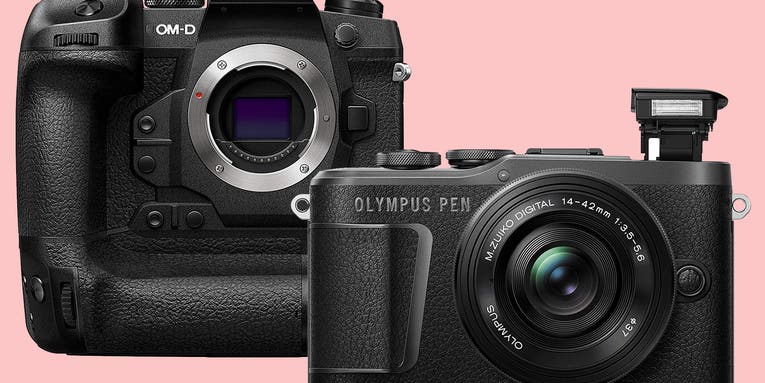 The best Olympus cameras in 2023