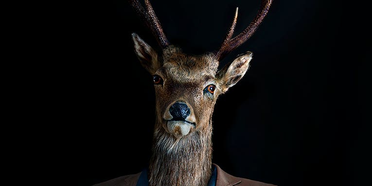 My Project: Miguel Vallinas’s Animal Instinct