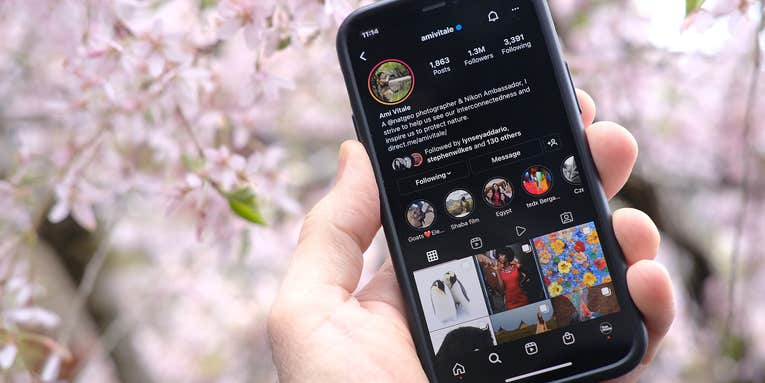 10 Instagram accounts to follow if you love nature & wildlife photography 10 Instagram accounts to follow if you love nature & wildlife photography