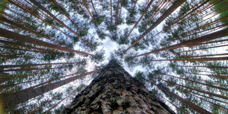 Tips from a Pro: A New Perspective on Nature Photography Tips from a Pro: A New Perspective on Nature Photography