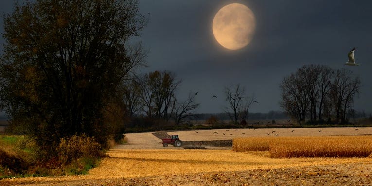 September’s night sky shows off with the Harvest Supermoon and a new comet September’s night sky shows off with the Harvest Supermoon and a new comet