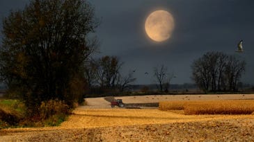 September’s night sky shows off with the Harvest Supermoon and a new comet