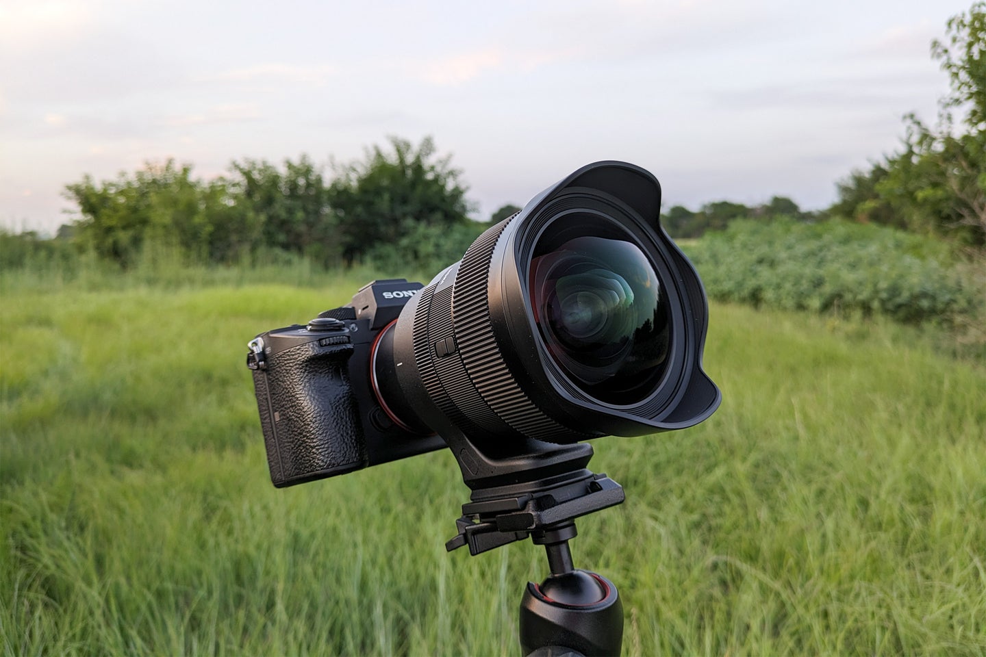 Sigma 14mm f/1.4 DG DN Art on the Sony a7 III on a tripod