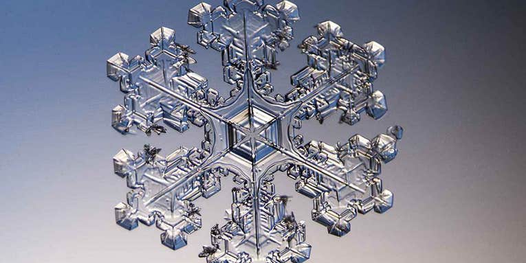 An introduction to microscope photography An introduction to microscope photography