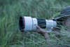 A person crouches in the grass while holding a camera with the Sony FE 300mm f/2.8 GM OSS lens.