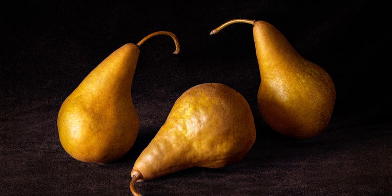 Freeze! The week’s best reader-submitted still life photos Freeze! The week’s best reader-submitted still life photos