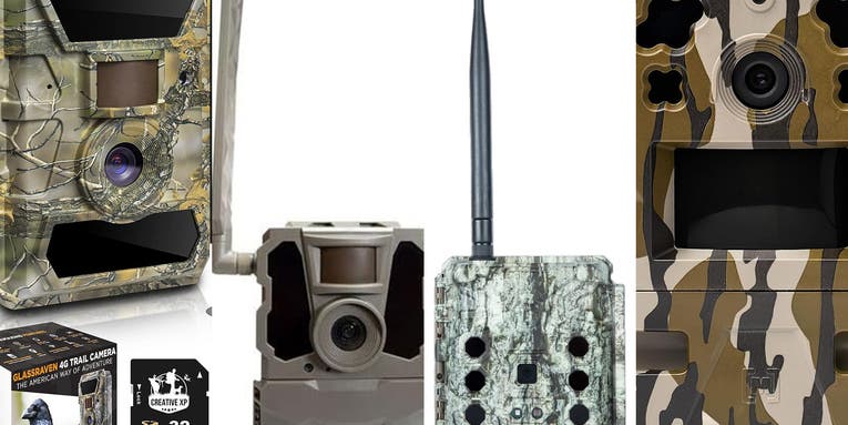 The best cellular trail cameras of 2023 The best cellular trail cameras of 2023