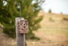 Moultrie Mobile Delta Base Cellular Trail Camera