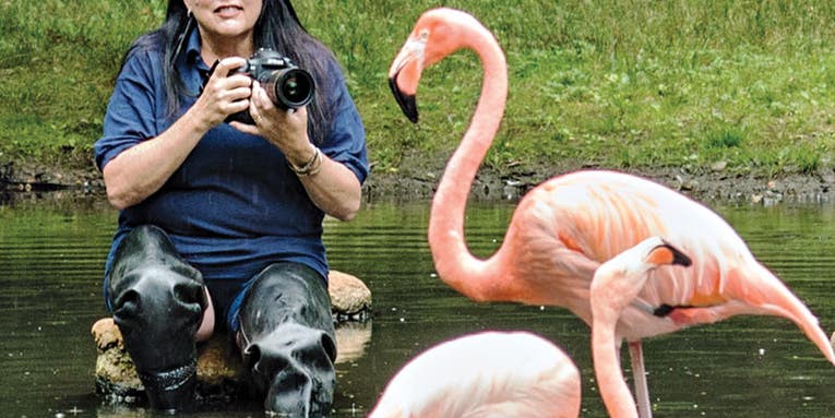 I, Photographer: Zoo Keeper I, Photographer: Zoo Keeper