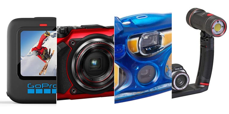 The best underwater cameras of 2023 The best underwater cameras of 2023