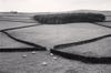 âSheep Pastures, Yorkshire Dales, North Yorkshire, England, 1983,â by Michael Kenna.
